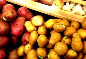 Slow Food