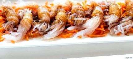 konjac