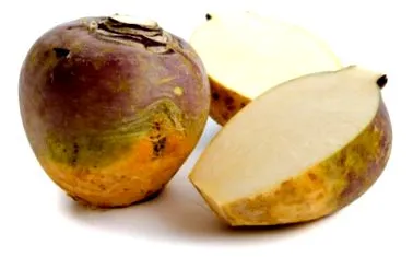 fontos egészség szempontjából