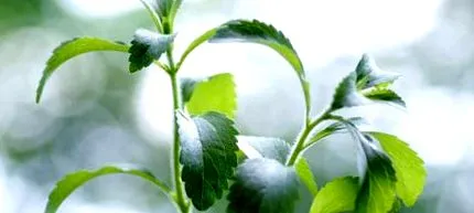 naturală