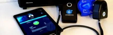 metabolikus