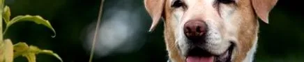 фізіотерапевт зарекомендувала себе