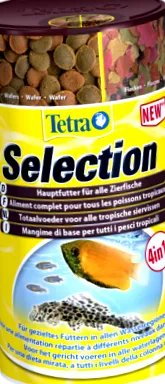 tetra