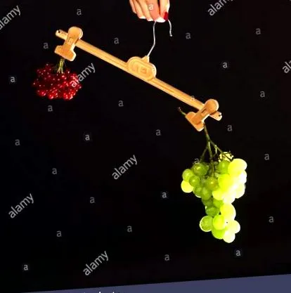 szőlő