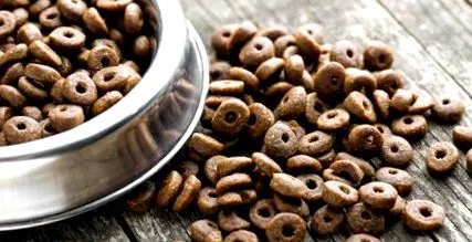 tippek tanácsok