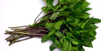 busuioc