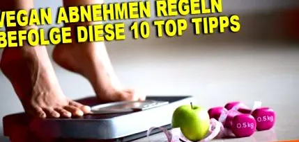 reguli