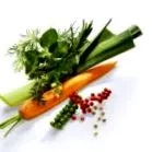 vegetáriánus