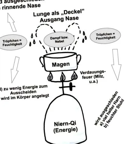 menopauza