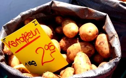 piridoxină