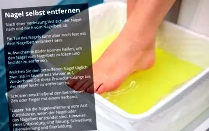 necht necht