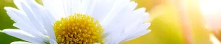 слабејте