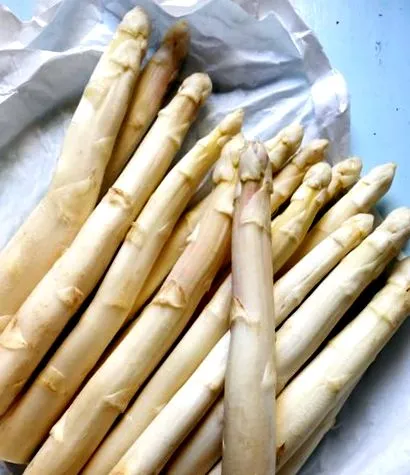 házigazdája