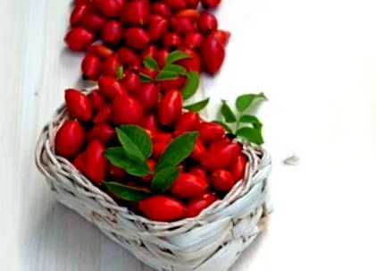 marginea