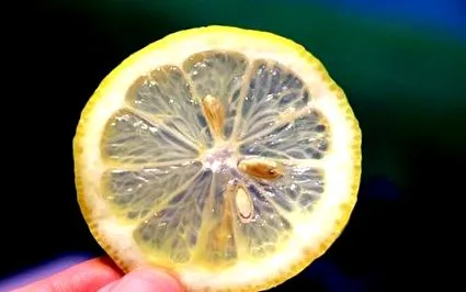 receptek
