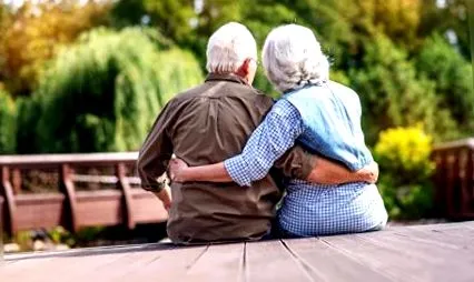 instrumente