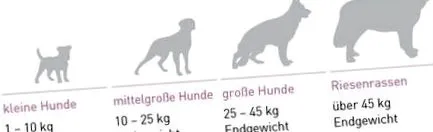 creștere zoologică