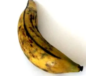 dietei