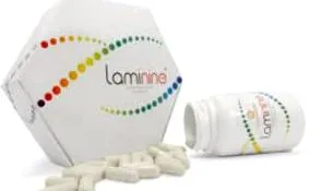 laminine