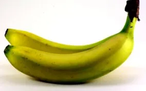campanie