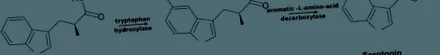 calitatea