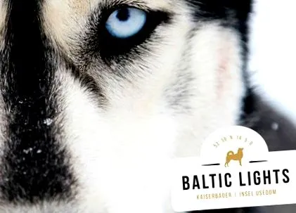 jótékonysági baltic