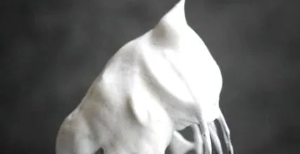 vegán