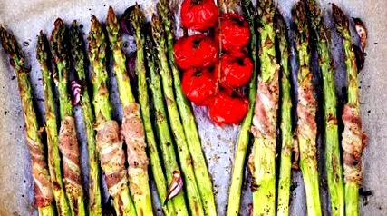 paleo vissza