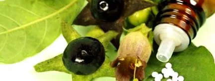belladonna