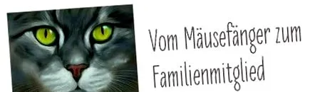 különleges