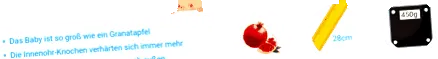 terhesség