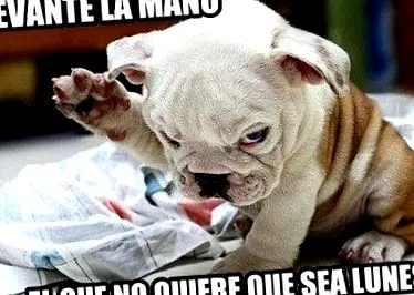 oldal
