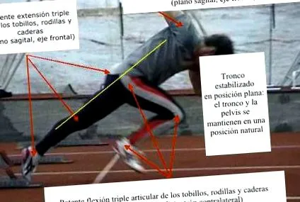 спорт
