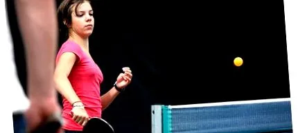 pingpongplus