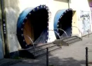 гепард