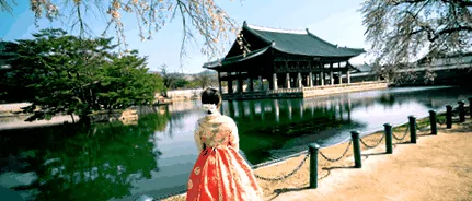 koreai koreai