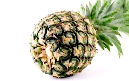 alebo