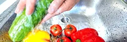 dieta