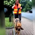 фанта