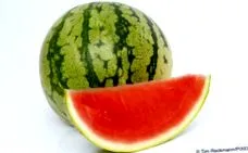 átlagosan kcal