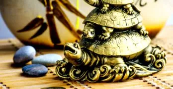shui