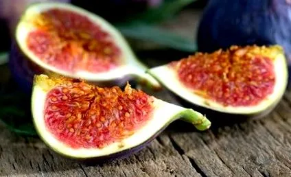 fructe