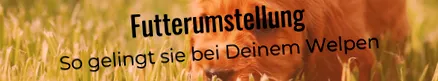 funcționează