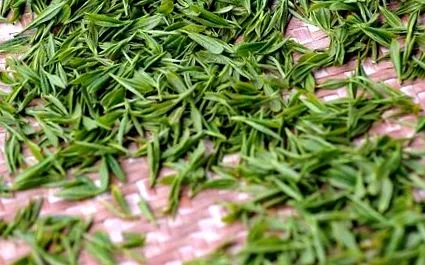 fructul fructul