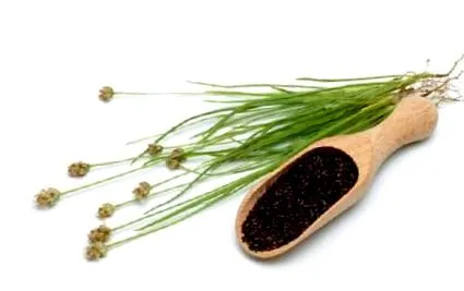 psyllium székrekedés