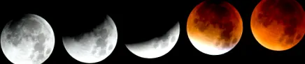 ereiben nova