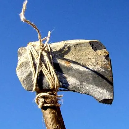 dovedi
