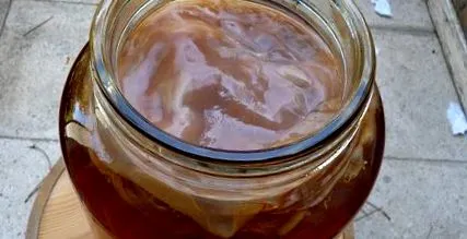 kombucha