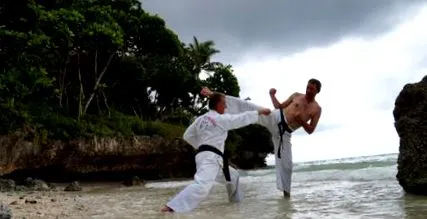 karate karate