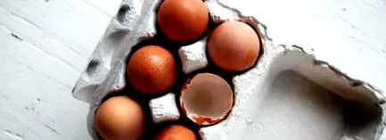 кетогена